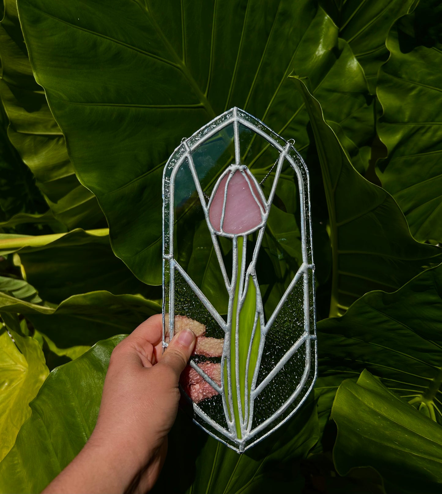 Spring Tulip