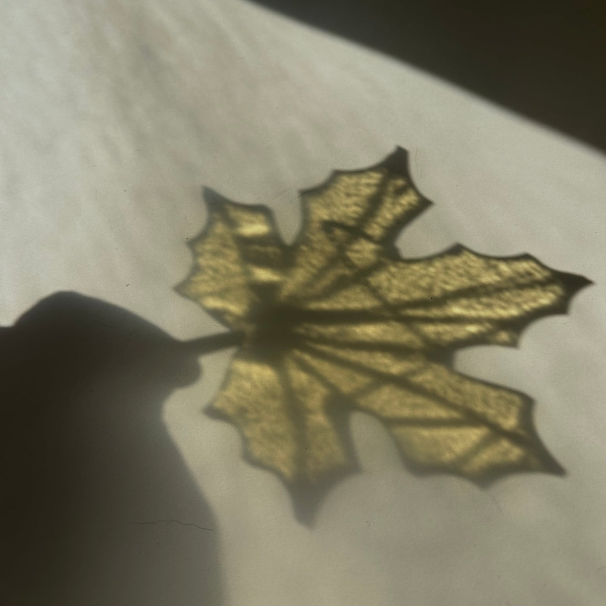 Fall Leaf
