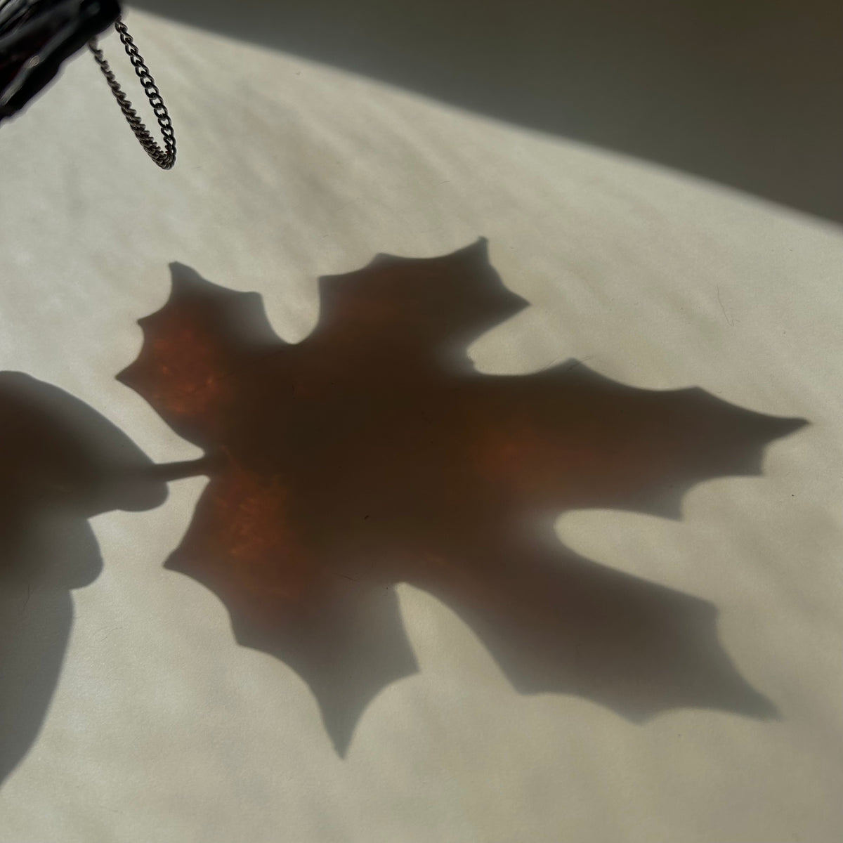 Fall Leaf
