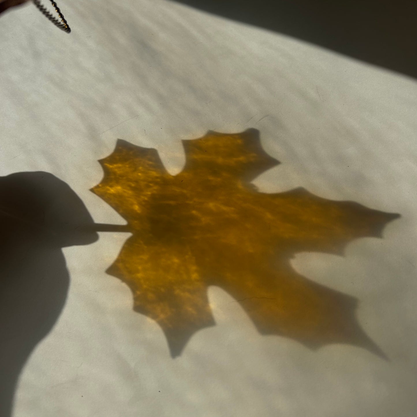 Fall Leaf