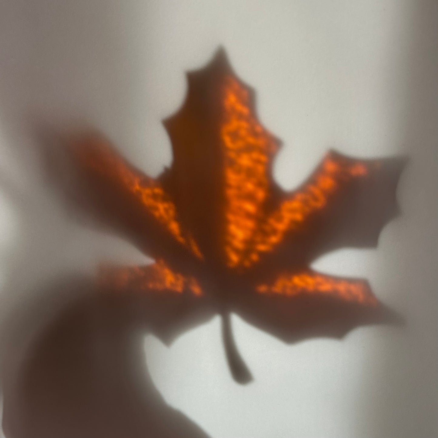 Fall Leaf